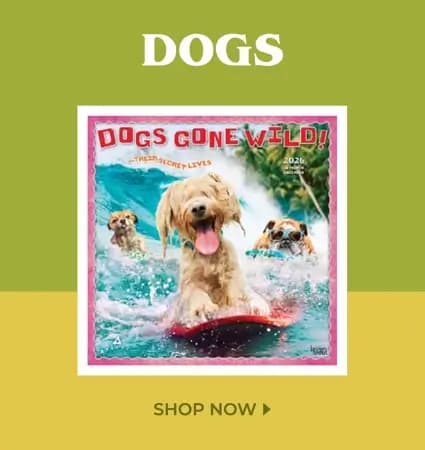 Wet noses and wagging tails — shop dog calendars featuring silly pups, pool fun, and furry friends in action.