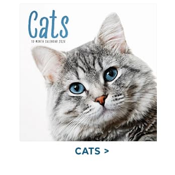 Cats 2026 Wall Calendar