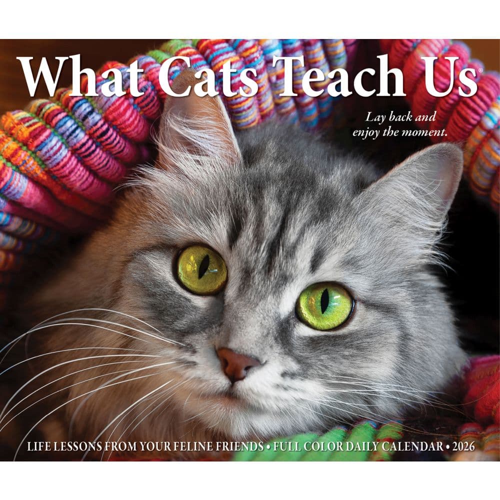 What Cats Teach Us 2026 Desk Calendar