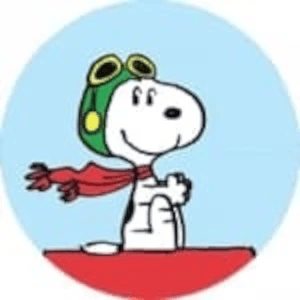 Shop 2027 Peanuts calendars