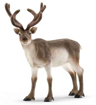Thumbnail of the Schleich® Reindeer
