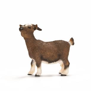 Thumbnail of the Schleich® Dwarf Goat