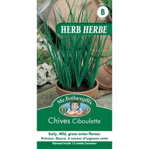 Thumbnail of the CHIVES