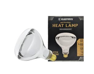 Thumbnail of the Electryx® Infrared Heat Lamp, 125W, 120V Clear R40, Splatter Resistant