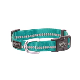 Thumbnail of the Reflective Snap-N-Go Adjust Dog Collar Med Mint