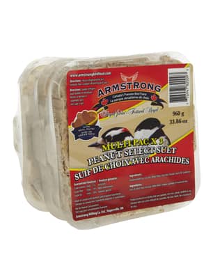 Thumbnail of the Armstrong® Royal Jubilee Peanut Select Suet 3 Pack