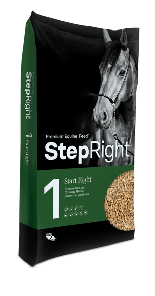 Thumbnail of the Step Right® Step 1 Start Right 20 kg