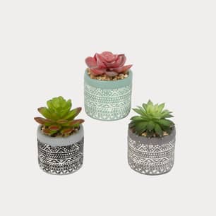 Thumbnail of the Gerson Company Potted Artificial Succulent, 3 Astd 3.5"