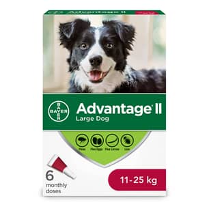 Thumbnail of the Advantage II Flea Treatment for Large Dogs - 6 dose