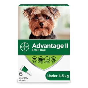 Thumbnail of the Advantage II Flea Treatment for Small Dogs - 6 dose
