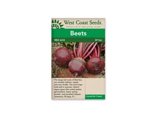 Thumbnail of the RED ACE F1 (200 SEEDS) BEETS