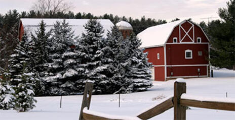 Read Article on Know how Farmers work hard in the fall to Winterize and Prepare for Spring 