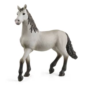 Thumbnail of the Schleich® Espariola Young Horse