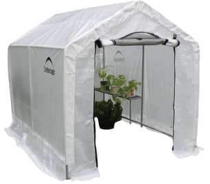 Thumbnail of the Shelter Logic® 6' X 6' X 8' Backyard Greenhouse