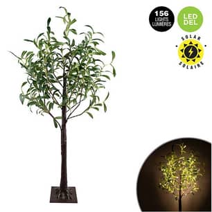 Thumbnail of the Danson Décor Solar Olive Tree With 156 Microdot Led Lights