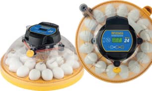 Thumbnail of the Brinsea Maxi 24 Advance Automatic 24 Egg Incubator