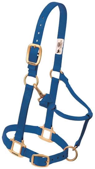 Thumbnail of the Weaver Leather 3/4" Blue Pony Halter