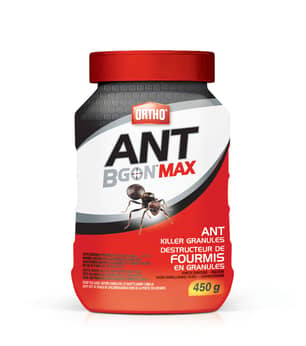 Thumbnail of the Ortho Ant B Gon Max Ant Killer Granules