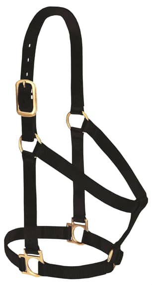 Thumbnail of the Weaver Original Non-Adjustable 3/4" Nylon Halter Black