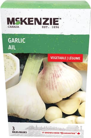 Thumbnail of the Garlic Regular Bulbs 3/Bag