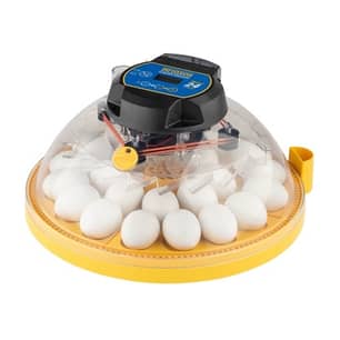 Thumbnail of the Brinsea Max 24 EX Fully Automatic 24 Egg Incubator