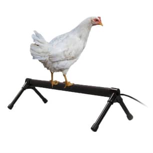 Thumbnail of the K&H Pet Products Thermo-Chicken Heated Perch Gray 36" 55W