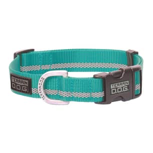 Thumbnail of the Reflective Snap-N-Go AdjusT Dog Collar Large Mint