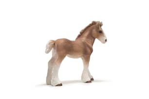 Thumbnail of the Schleich® Clydesdale Foal