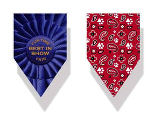 Thumbnail of the Best in Show Bandanas  Medium/Large 2 Pack