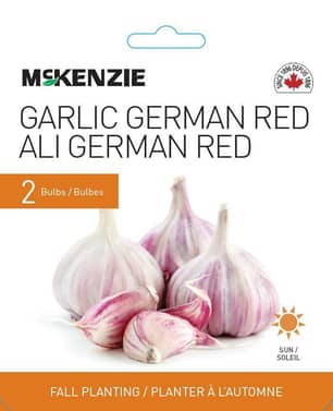 Thumbnail of the GARLIC GERMAN RED