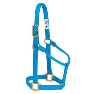 Thumbnail of the Original Non-Adjustable Nylon Horse Halter, Small, Hurricane Blue