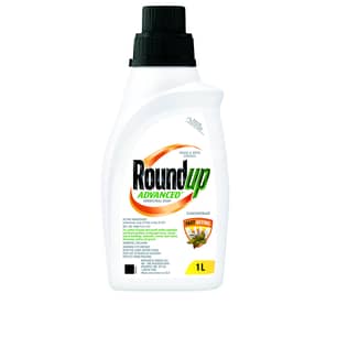 Thumbnail of the Roundup Advanced Concentrate 1L