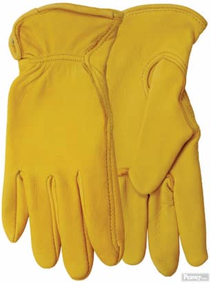 Thumbnail of the Ladies Deerskin Glove