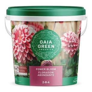 Thumbnail of the Gaja® 2-8-4 Power Bloom Fertilizer 2Kg