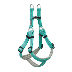 Thumbnail of the Reflective Neoprene Lined Dog Harness Small Mint