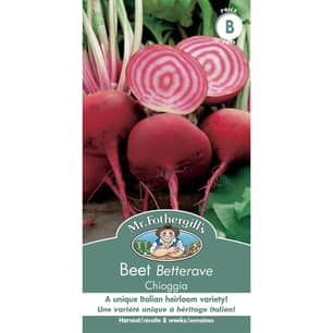 Thumbnail of the BEET CHIOGGIA