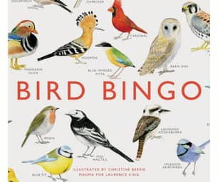 Thumbnail of the Bird Bingo