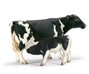 Thumbnail of the Schleich® Holstein Calf