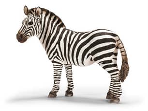 Thumbnail of the Schleich® Zebra Female