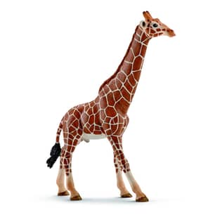 Thumbnail of the Schleich® Giraffe Male