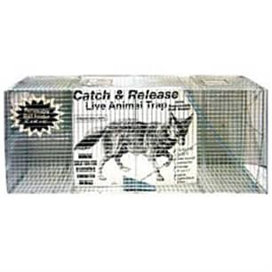 Thumbnail of the Coyote Trap, 55" x 17" x 25"