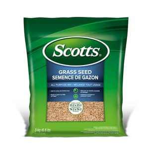 Thumbnail of the Scotts® Grass Seed All Purpose Mix 3KG