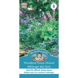 Thumbnail of the WOODLAND FLOWER MIXTURE