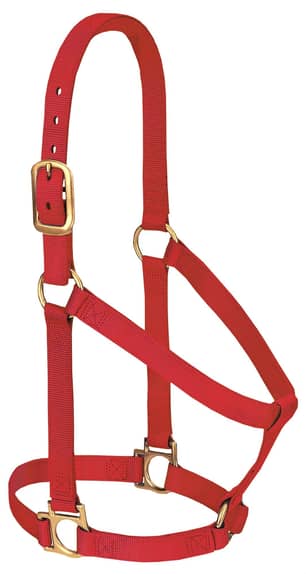 Thumbnail of the Weaver Leather 1" Non-Adjustable Nylon Halter, Small, Red