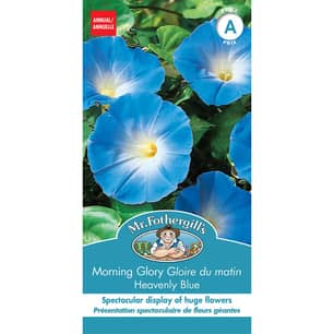 Thumbnail of the MORNING GLORY HEAVENLY BLUE