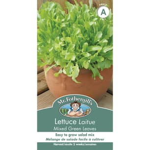 Thumbnail of the LETTUCE MIXED GREEN LEAVES