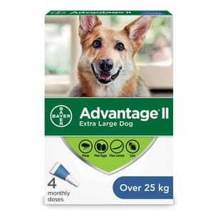 Thumbnail of the Advantage II Flea Treatment for Extra Large Dogs - 4 dose
