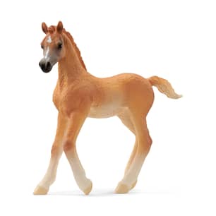 Thumbnail of the Schleich Arab foal