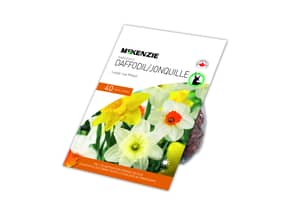 Thumbnail of the NARCISSUS LARGE CUP MIX 40 BULBS