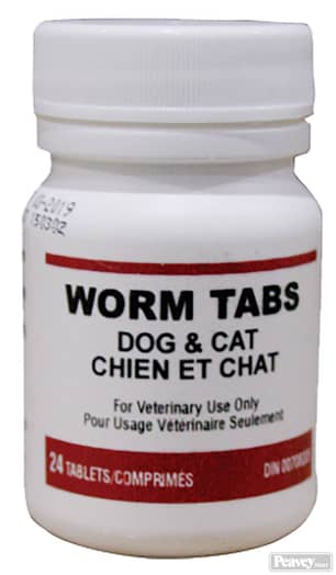 Thumbnail of the Wormer Tablets Cat and Dog 24 Pack